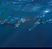 The Coral Coast Highway - ACT Tourism