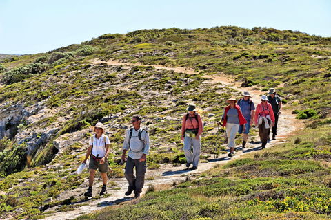 The Sole Walk At Hillocks Drive - ACT Tourism 0