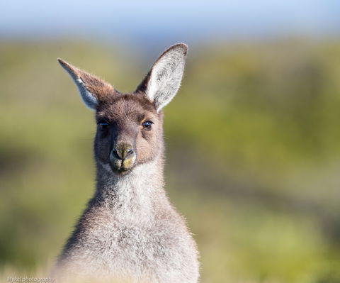 The Sole Walk At Hillocks Drive - ACT Tourism 1