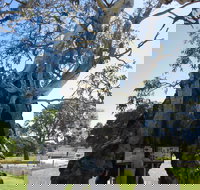 The Herbig Family Tree - ACT Tourism