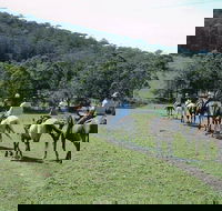 Timbertops - Horse Riding - ACT Tourism