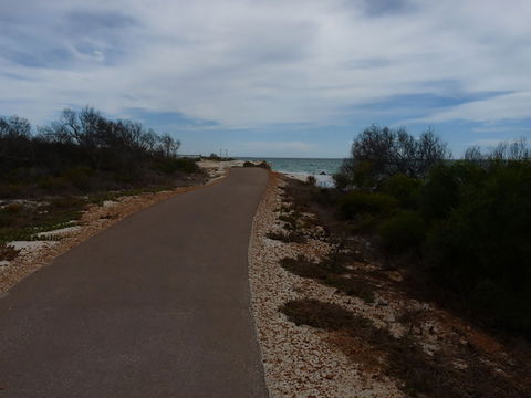 Turquoise Way Trail, Jurien Bay - ACT Tourism 0