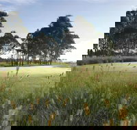 Twin Creeks Golf and Country Club - ACT Tourism