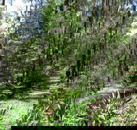 Tyers Park - ACT Tourism