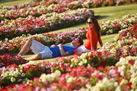 Victoria State Rose Garden At Werribee Park - ACT Tourism 1