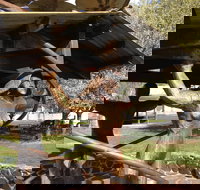 Walcha Open Air Gallery - ACT Tourism