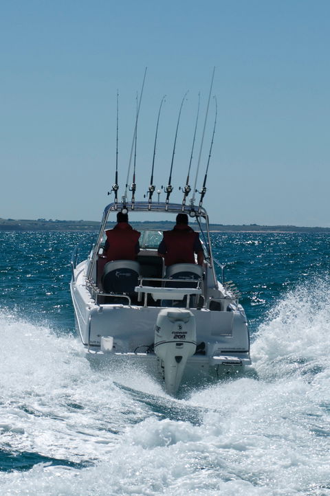 Western Port - ACT Tourism 1