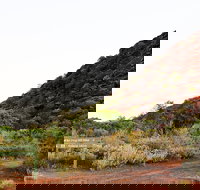 Whyalla Conservation Park - ACT Tourism