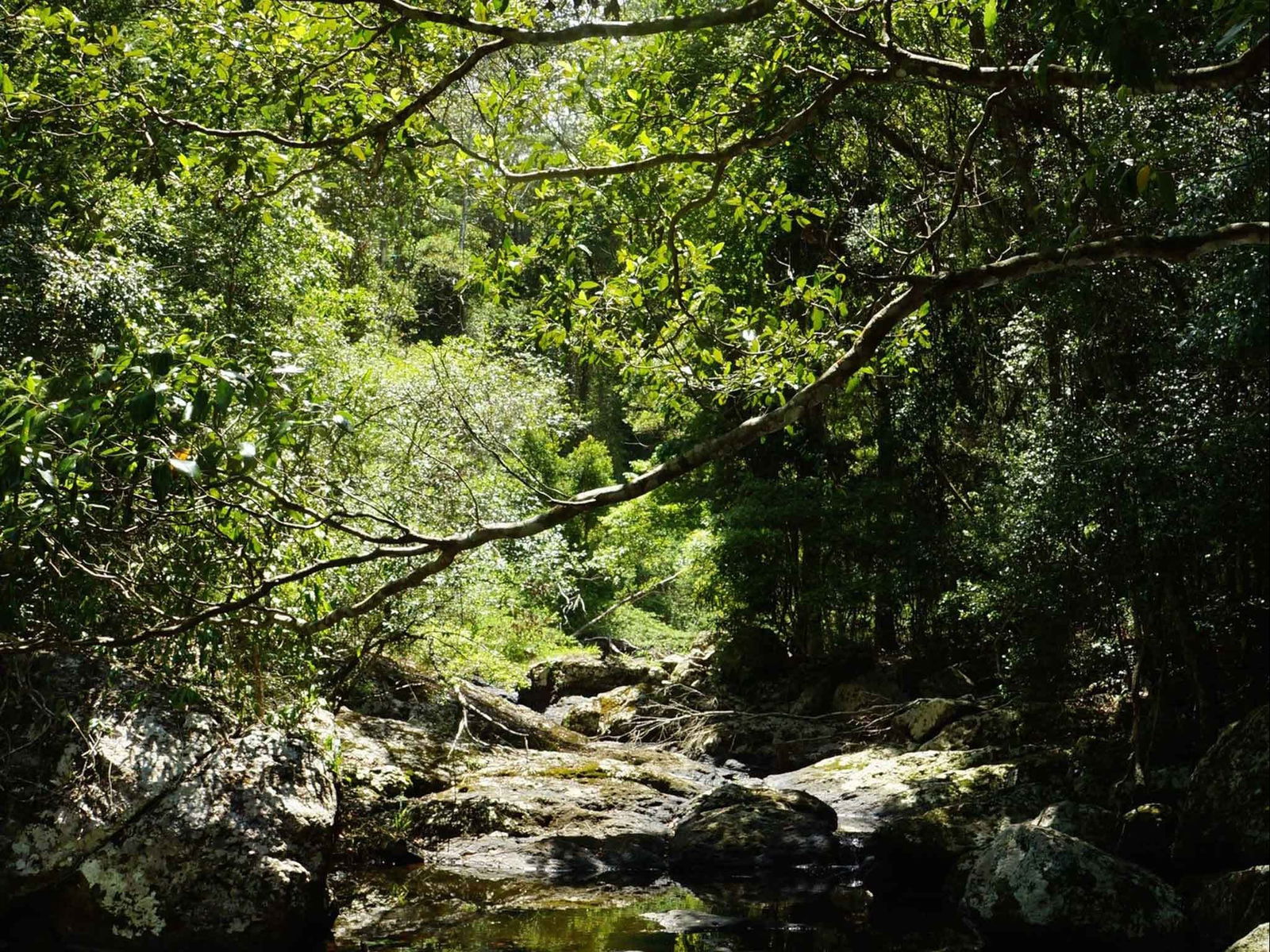 Witta QLD ACT Tourism