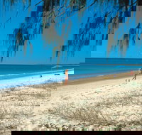 Woodgate Beach Park and Playground - ACT Tourism