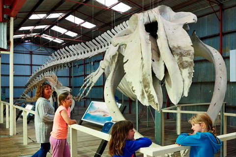 Albany's Historic Whaling Station - ACT Tourism 2