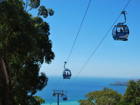 Arthurs Seat Eagle - ACT Tourism 0