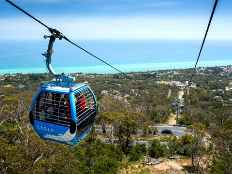 Arthurs Seat Eagle - ACT Tourism 1