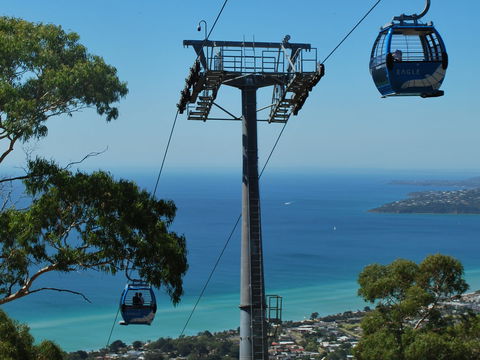 Arthurs Seat Eagle - ACT Tourism 2