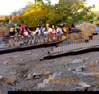 Australian Age of Dinosaurs - ACT Tourism