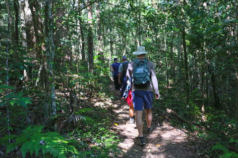 Booloumba Falls Walk, Conondale National Park - ACT Tourism 1