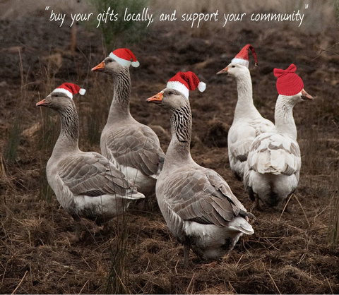 Bream Creek Farmers Market - ACT Tourism 1