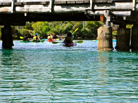 Byron Bay River Nature Kayak Tour - ACT Tourism 1
