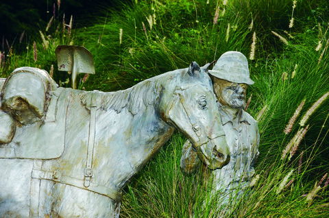 Centenary Park - ACT Tourism 0