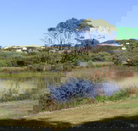 Centennial Park Beachport - ACT Tourism