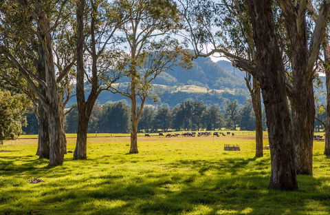Coast To The Highlands Scenic Drive – Kangaroo Valley - ACT Tourism 0