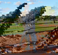 Cobar Miners Heritage Park - ACT Tourism