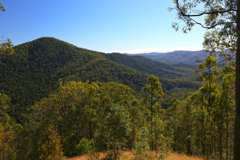 Conondale National Park - ACT Tourism 0