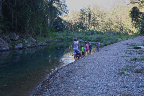Conondale National Park - ACT Tourism 2