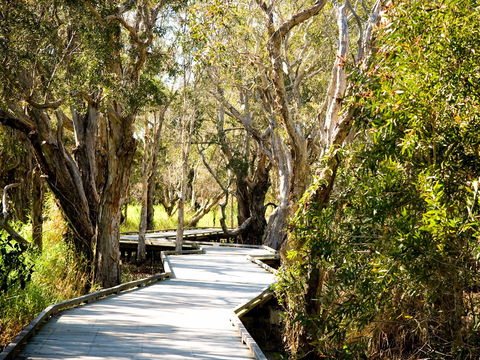 Eagleby Wetlands - ACT Tourism 1
