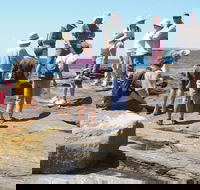 Gondwana Coast Fossil Walk - ACT Tourism