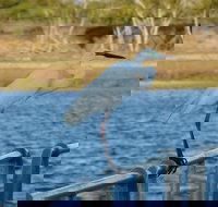 Groper Creek - ACT Tourism