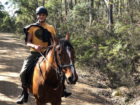 Horse Riding Tasmania - ACT Tourism 2