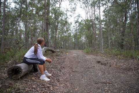 Ironbark Ridge And Spotted Gum Walking Trails - ACT Tourism 1