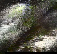 Jack And Hilda McArthur Walk - ACT Tourism