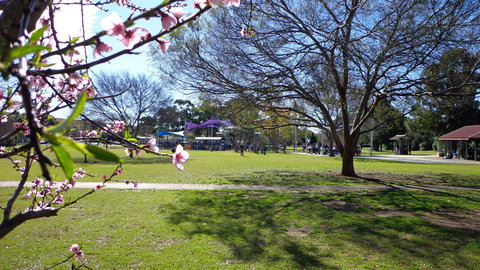 Koshigaya Park - ACT Tourism 0