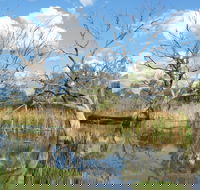 Lagoon Creek - ACT Tourism