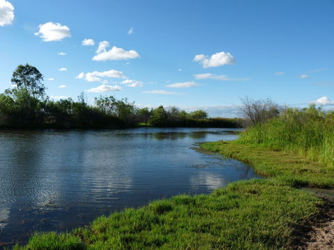 Lagoon Creek - ACT Tourism 2