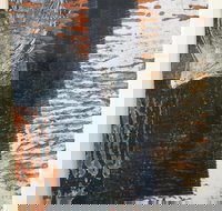 Lighthouse View - ACT Tourism