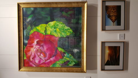 Macleay Valley Community Art Gallery - ACT Tourism 0