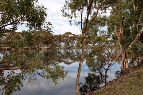 Merredin Railway Dam - ACT Tourism 0