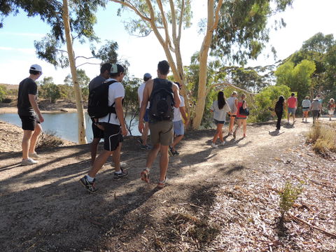 Merredin Railway Dam - ACT Tourism 1