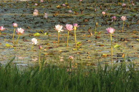 Miles - ACT Tourism 2