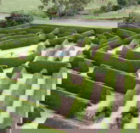 Mintaro Maze - ACT Tourism