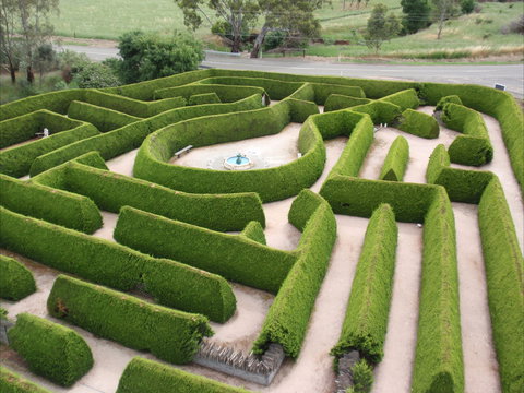 Mintaro Maze - ACT Tourism 0