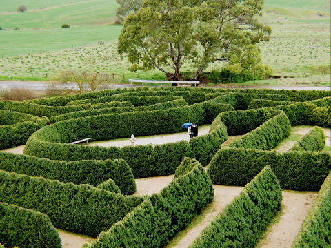 Mintaro Maze - ACT Tourism 1