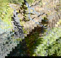 Morans Falls track Lamington National Park - ACT Tourism