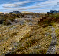 Murramarang Aboriginal Area Walking Track - ACT Tourism