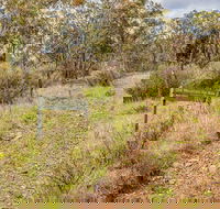 Old Mountain Road Walking Track - ACT Tourism