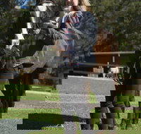 Otford Farm Horse Riding - ACT Tourism