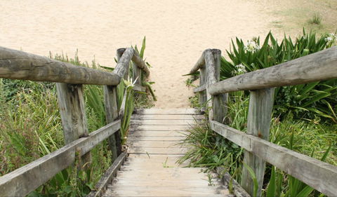 Pebbly Beach To Snake Bay Walking Track - ACT Tourism 0